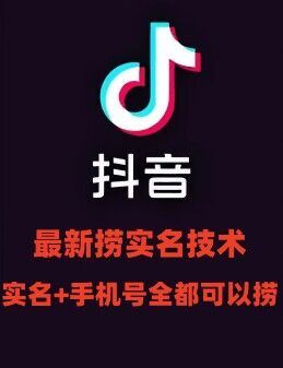 最新技术抖音捞实名+捞手机号技术，抖音直播封禁释放十名/手机号，直接替换出来!-网创空间