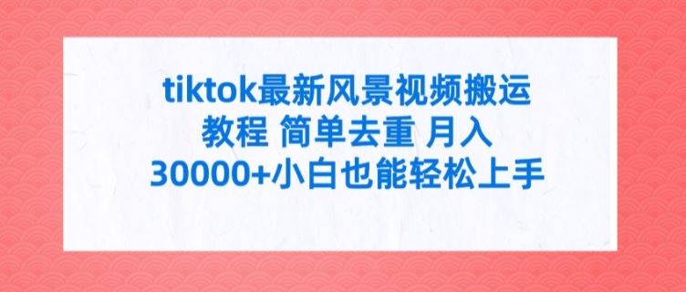 tiktok最新风景视频搬运教程 简单去重 月入3W+小白也能轻松上手【揭秘】-网创空间