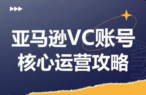 亚马逊VC账号核心玩法解析，实战经验拆解产品模块运营技巧，提升店铺GMV，有效提升运营利润-网创空间