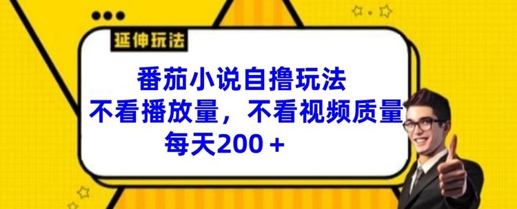 番茄小说自撸玩法，不看播放量，不看视频质量，每天200+【揭秘】-网创空间