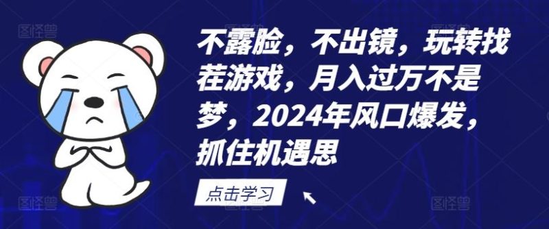 不露脸，不出镜，玩转找茬游戏，月入过万不是梦，2024年风口爆发，抓住机遇【揭秘】-网创空间