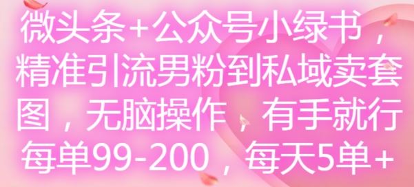 微头条+公众号小绿书，精准引流男粉到私域卖套图，无脑操作，有手就行，每单99-200，每天5单-网创空间
