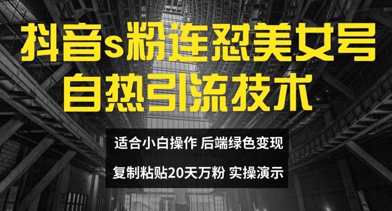 抖音s粉连怼美女号自热引流技术复制粘贴，20天万粉账号，无需实名制，矩阵操作【揭秘】-网创空间