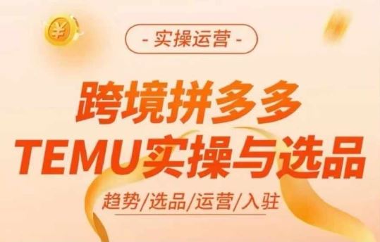 跨境拼多多TEMU实操与选品，多多temu跨境选品运营实操-网创空间