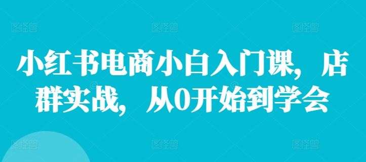 小红书电商小白入门课，店群实战，从0开始到学会-网创空间