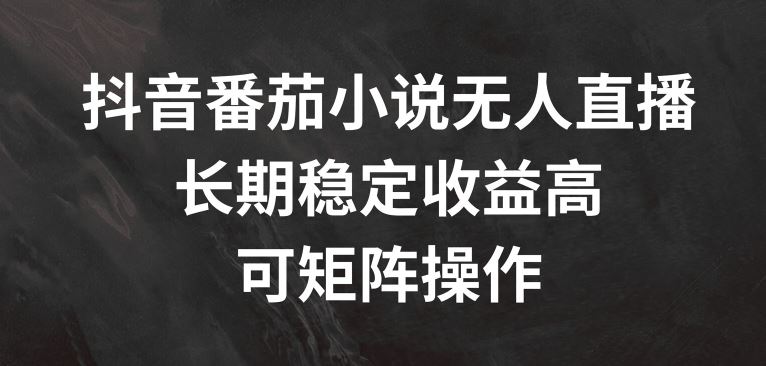 抖音番茄小说无人直播，长期稳定收益高，可矩阵操作【揭秘】-网创空间