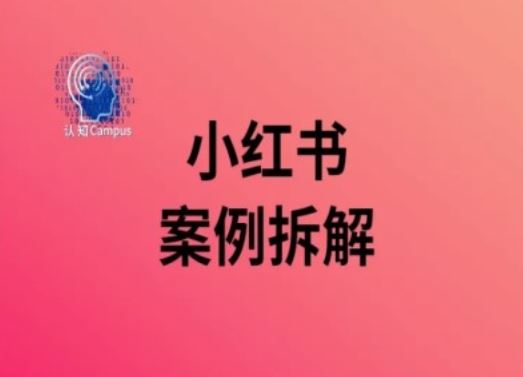 小红书案例拆解，深度解读小红书40万粉-网创空间