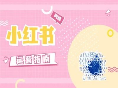 小红书运营指南，没有套路，全是经验-网创空间