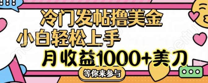 冷门发帖撸美金项目，月收益1000+美金，简单无脑，干就完了【揭秘】-网创空间