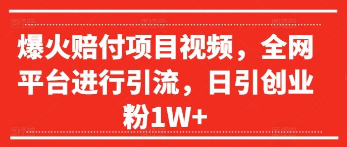 爆火赔付项目视频，全网平台进行引流，日引创业粉1W+【揭秘】-网创空间