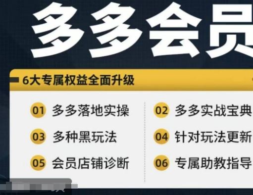 拼多多会员，拼多多实战宝典+实战落地实操，从新手到高阶内容全面覆盖-网创空间