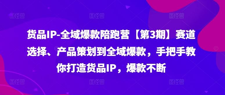 货品IP全域爆款陪跑营【第3期】赛道选择、产品策划到全域爆款，手把手教你打造货品IP，爆款不断-网创空间