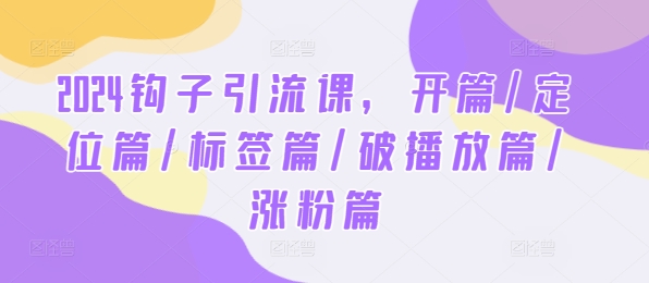 2024钩子引流课，开篇/定位篇/标签篇/破播放篇/涨粉篇-网创空间