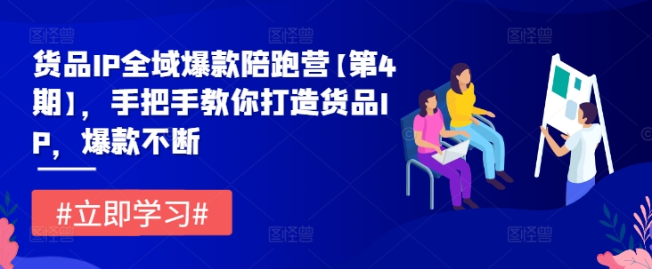 货品IP全域爆款陪跑营【第4期】，手把手教你打造货品IP，爆款不断-网创空间
