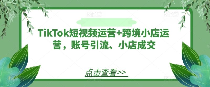 TikTok短视频运营+跨境小店运营，账号引流、小店成交-网创空间