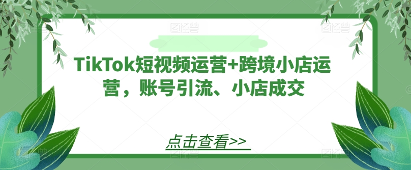 TikTok短视频运营+跨境小店运营，账号引流、小店成交-网创空间