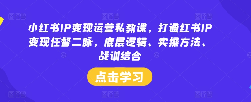 小红书IP变现运营私教课，打通红书IP变现任督二脉，底层逻辑、实操方法、战训结合-网创空间