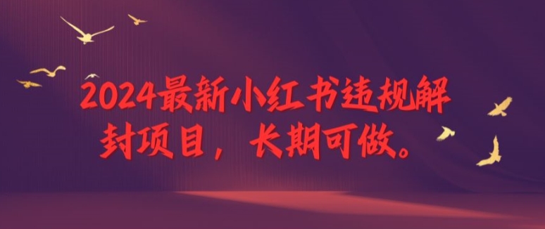 2024最新小红书违规解封项目，长期可做，一个可以做到退休的项目-网创空间