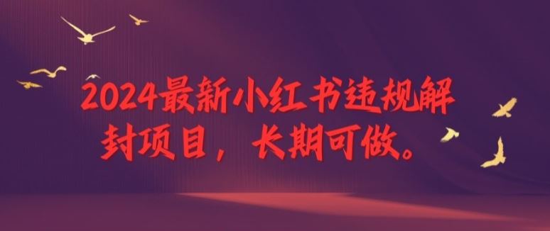 2024最新小红书违规解封项目，长期可做，一个可以做到退休的项目【揭秘】-网创空间
