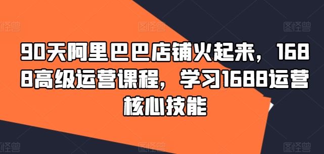 90天阿里巴巴店铺火起来，1688高级运营课程，学习1688运营核心技能-网创空间