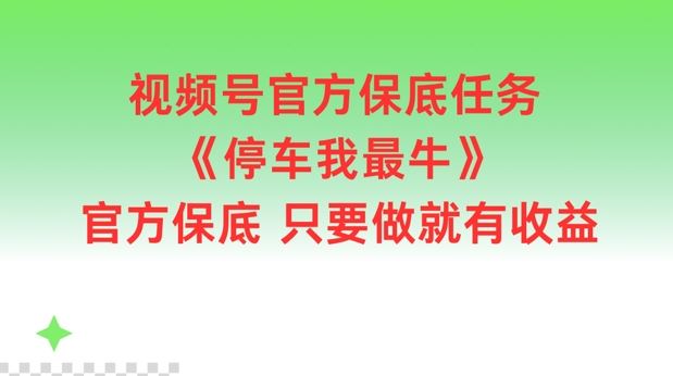 视频号官方保底任务，停车我最牛，官方保底只要做就有收益【揭秘】-网创空间