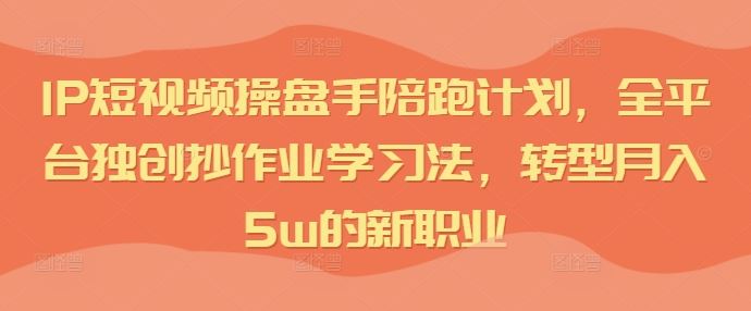 IP短视频操盘手陪跑计划，全平台独创抄作业学习法，转型月入5w的新职业-网创空间
