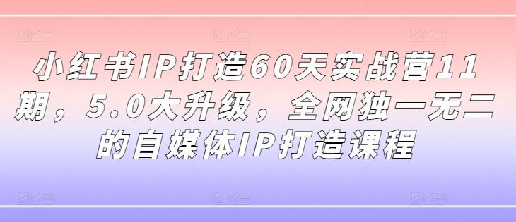 小红书IP打造60天实战营11期，5.0大升级，全网独一无二的自媒体IP打造课程-网创空间