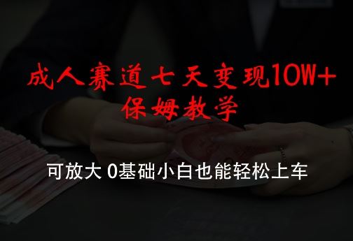 成人赛道七天变现10W+保姆教学，可放大，0基础小白也能轻松上车【揭秘】-网创空间