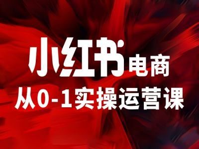 小红书电商从0-1实操运营课，让你从小白到精英-网创空间