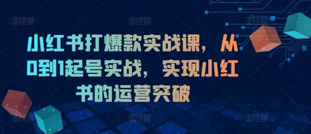小红书打爆款实战课，从0到1起号实战，实现小红书的运营突破-网创空间