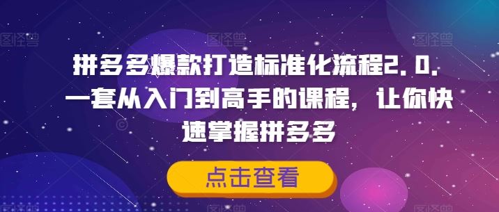 拼多多爆款打造标准化流程2.0，一套从入门到高手的课程，让你快速掌握拼多多-网创空间