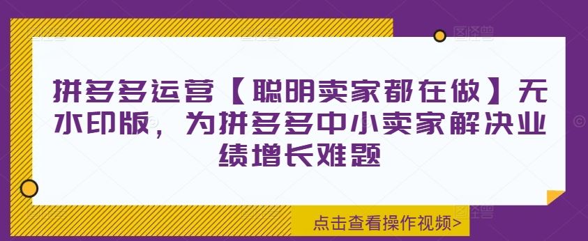 拼多多运营【聪明卖家都在做】无水印版，为拼多多中小卖家解决业绩增长难题-网创空间