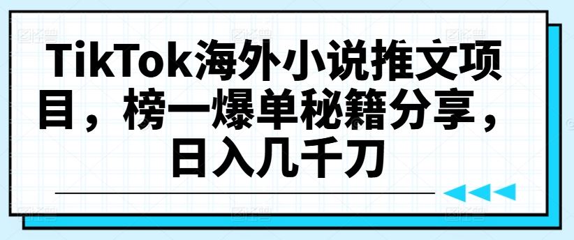 TikTok海外小说推文项目，榜一爆单秘籍分享，日入几千刀-网创空间