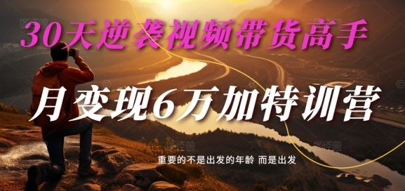 30天逆袭视频带货高手，单月变现6万加特训营-麦子甜-网创空间