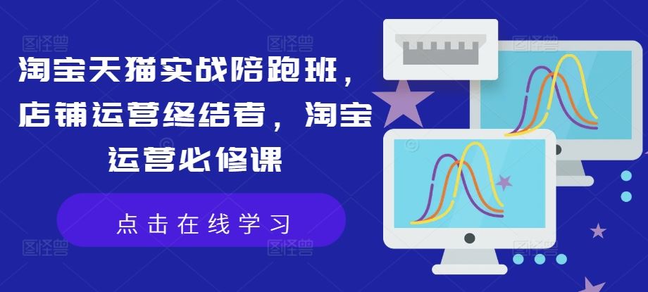 淘宝天猫实战陪跑班，店铺运营终结者，淘宝运营必修课-网创空间