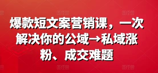 爆款短文案营销课，一次解决你的公域→私域涨粉、成交难题-网创空间