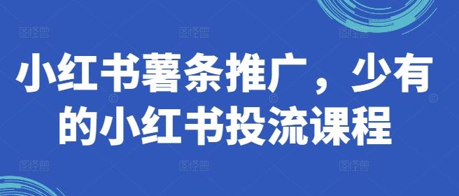 小红书薯条推广，少有的小红书投流课程-网创空间