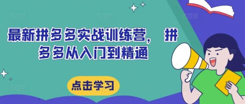 最新拼多多实战训练营， 拼多多从入门到精通-网创空间