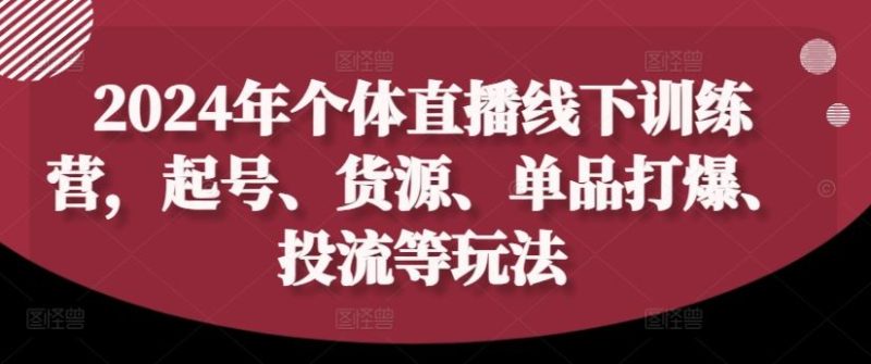 2024年个体直播训练营,起号、货源、单品打爆、投流等玩法-网创空间