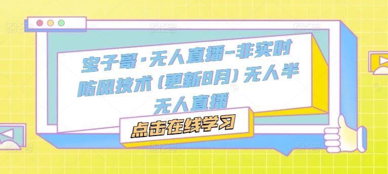 宝子哥·无人直播-非实时防风技术(更新8月)无人半无人直播-网创空间