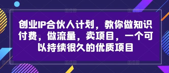 创业IP合伙人计划，教你做知识付费，做流量，卖项目，一个可以持续很久的优质项目-网创空间