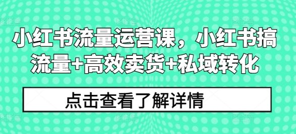 小红书流量运营课，小红书搞流量+高效卖货+私域转化-网创空间