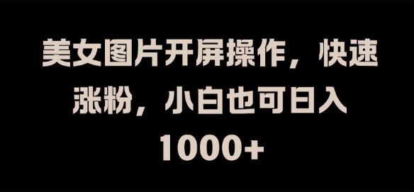 美女图片开屏操作，快速涨粉，小白也可日入1k【揭秘】-网创空间