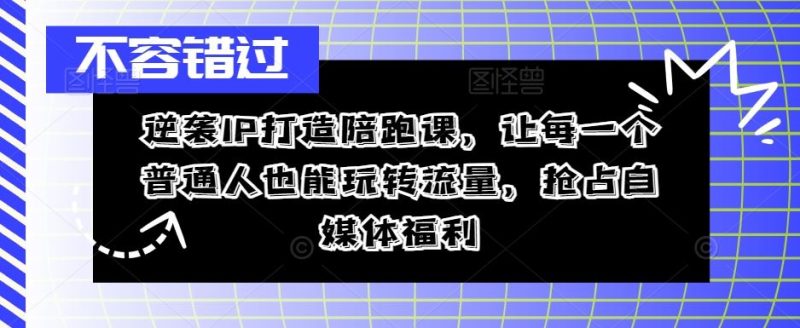 逆袭IP打造陪跑课,让每一个普通人也能玩转流量,抢占自媒体福利-网创空间