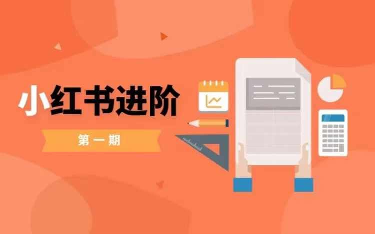 小红书进阶篇，零基础小白实战课，普通人变现的课程-网创空间
