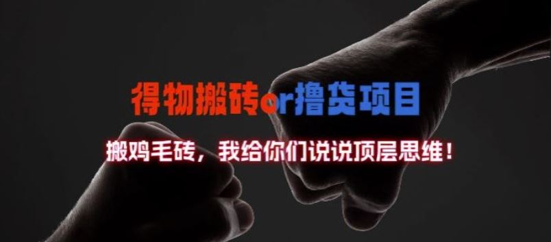 得物搬砖撸货项目?掰下数据，我给你们说说顶层思维【揭秘】-网创空间
