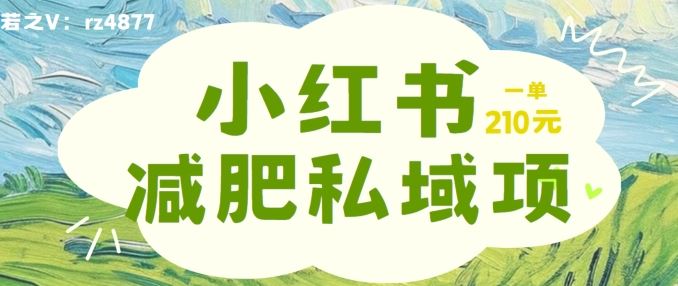 小红书减肥粉，私域变现项目，一单就达210元，小白也能轻松上手【揭秘】-网创空间
