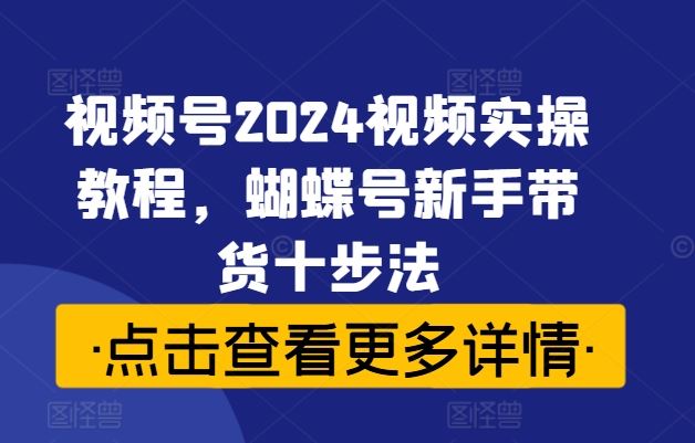 视频号2024视频实操教程，蝴蝶号新手带货十步法-网创空间