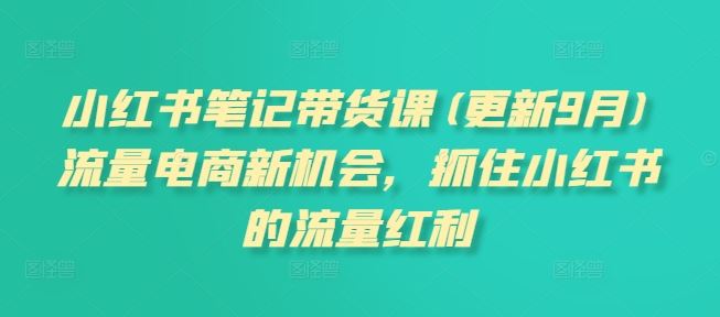 小红书笔记带货课(更新9月)流量电商新机会，抓住小红书的流量红利-网创空间