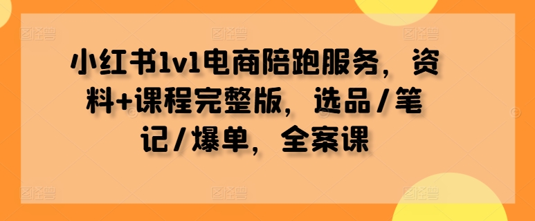 小红书1v1电商陪跑服务，资料+课程完整版，选品/笔记/爆单，全案课-网创空间